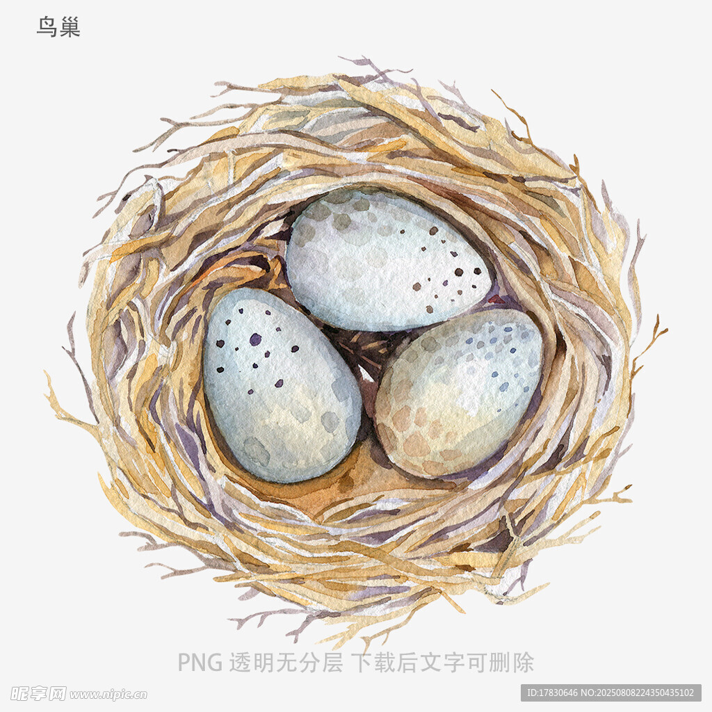 鳥巢
