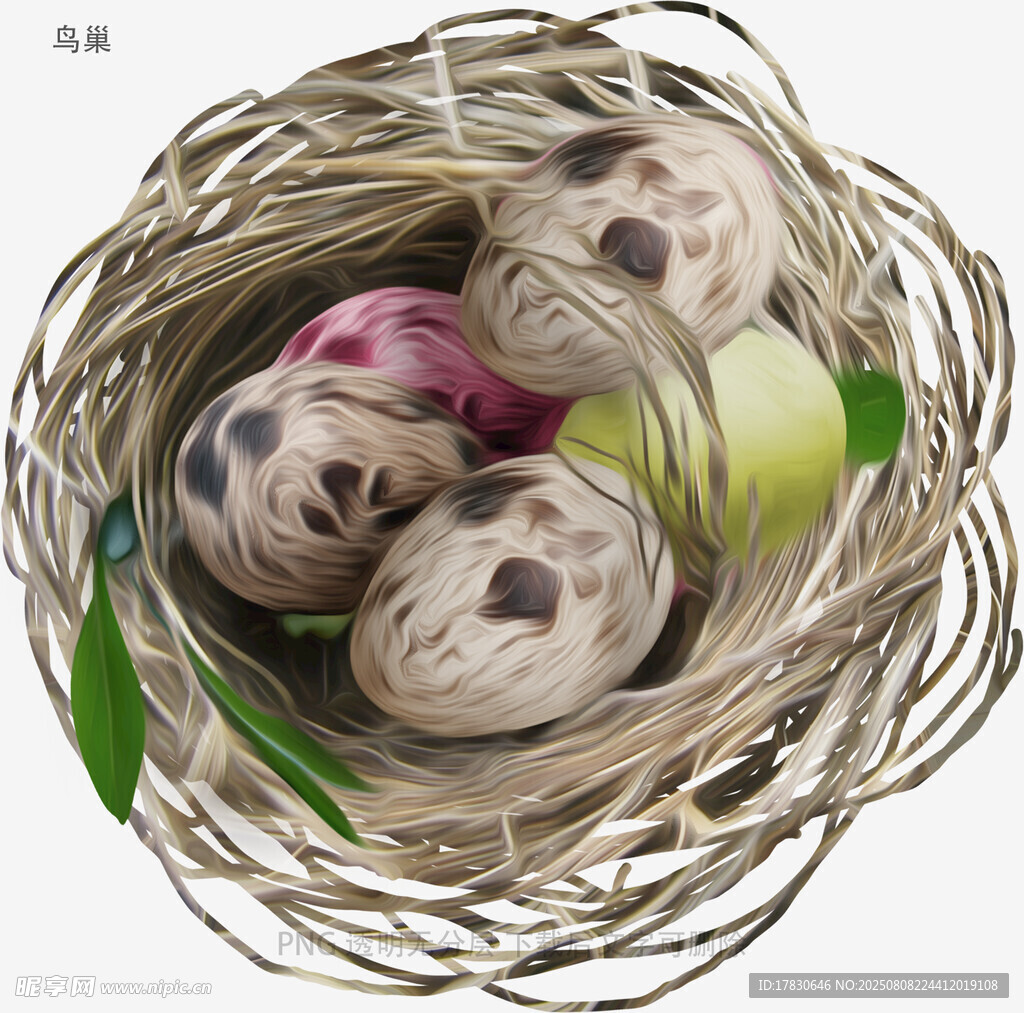 鳥巢