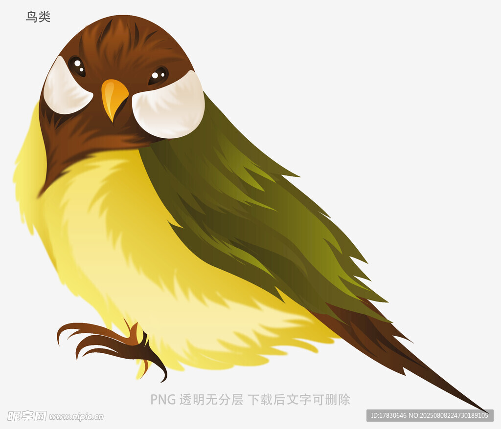 鳥類