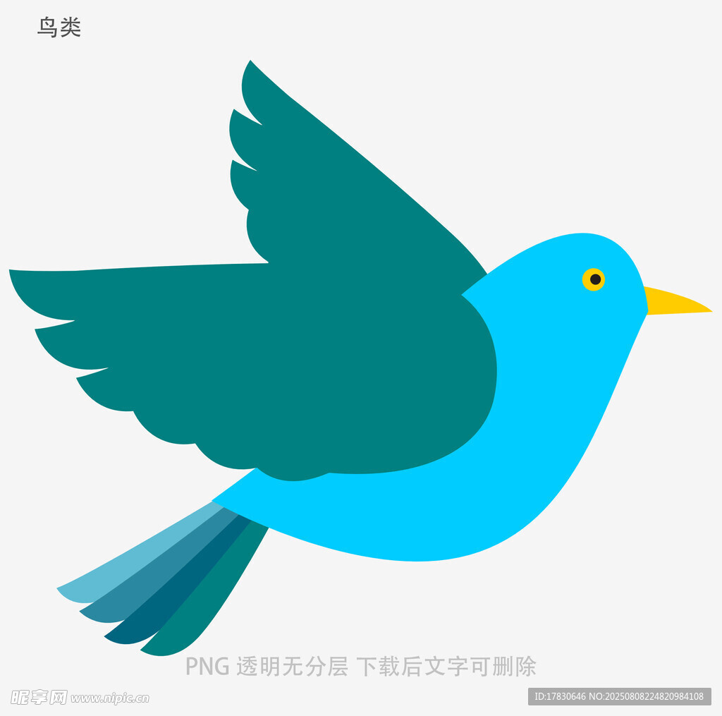鳥類