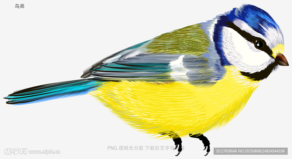 鳥類