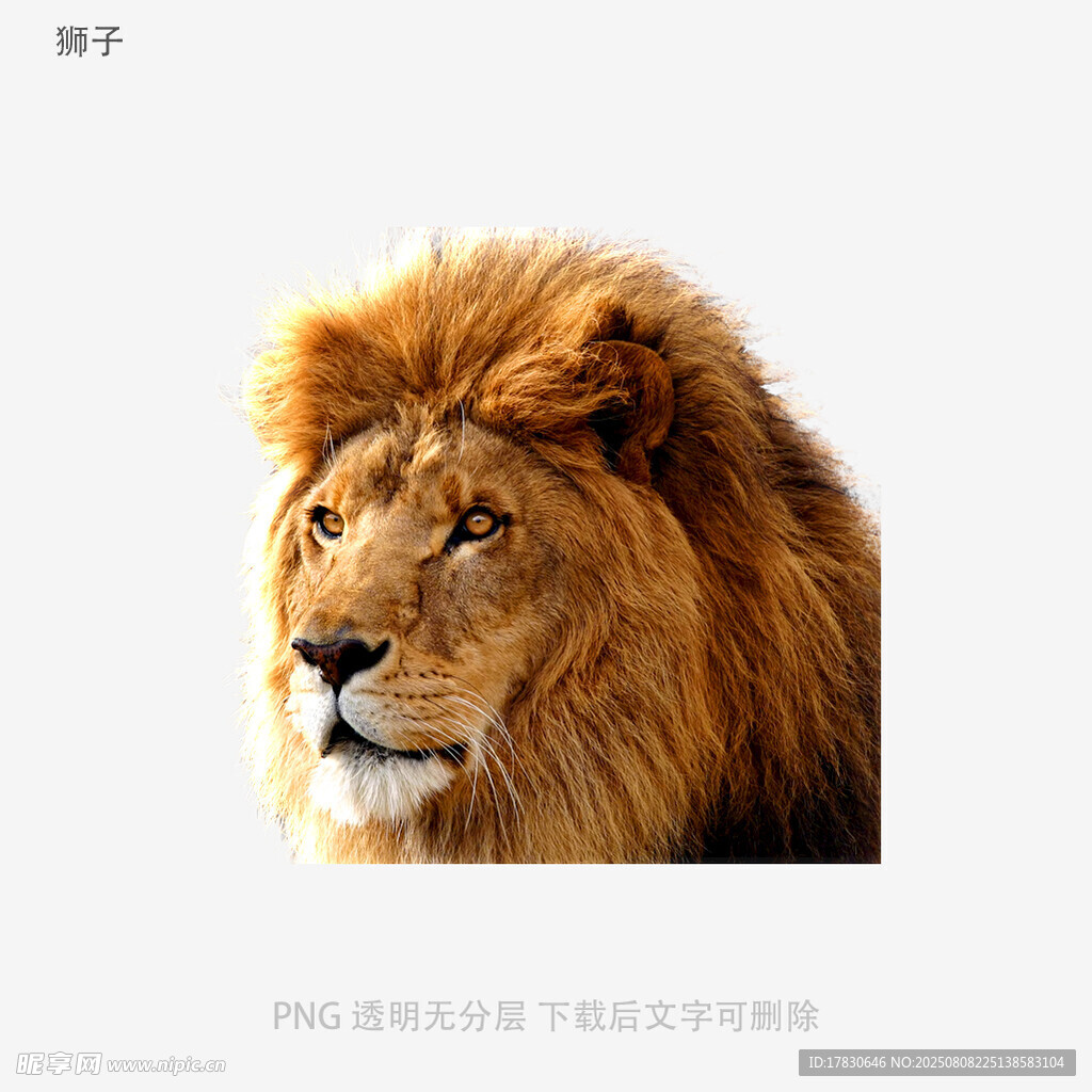 獅子