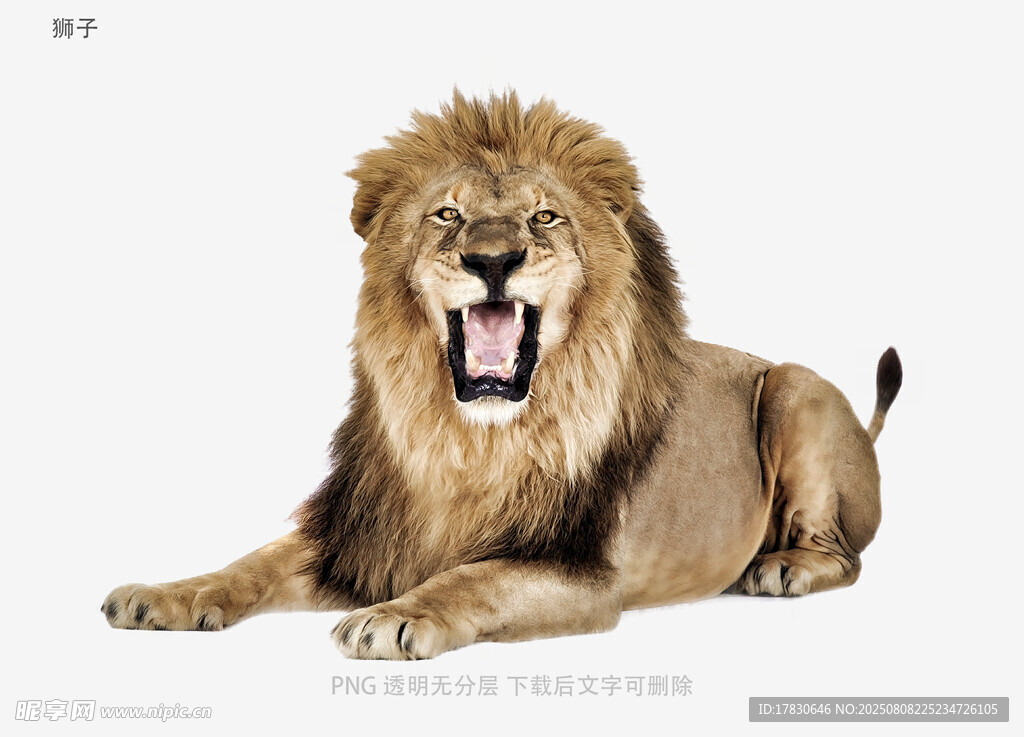 獅子