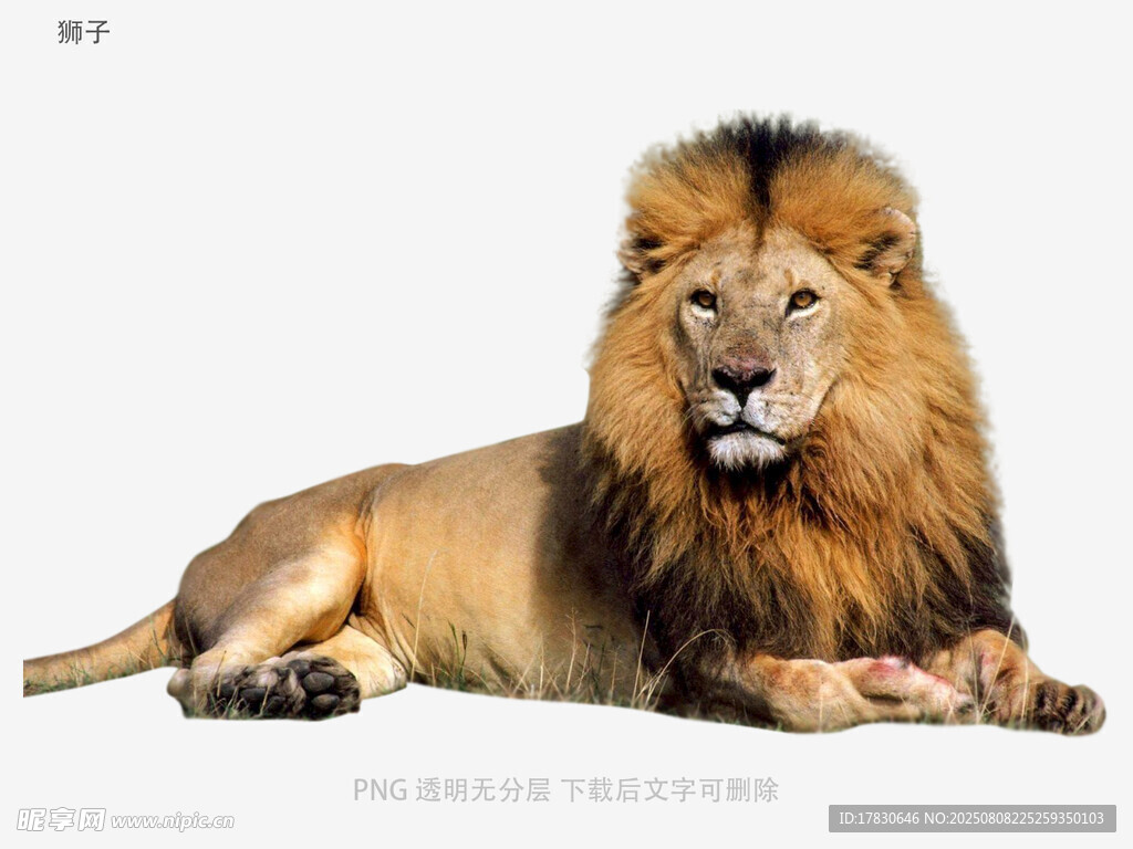 獅子