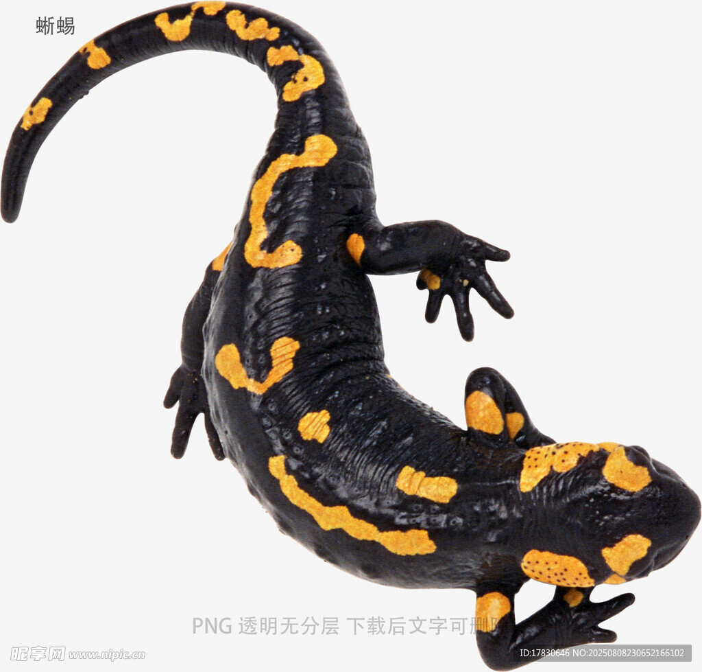 蜥蜴