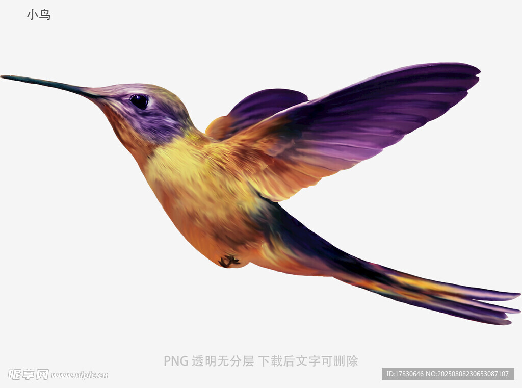 小鳥