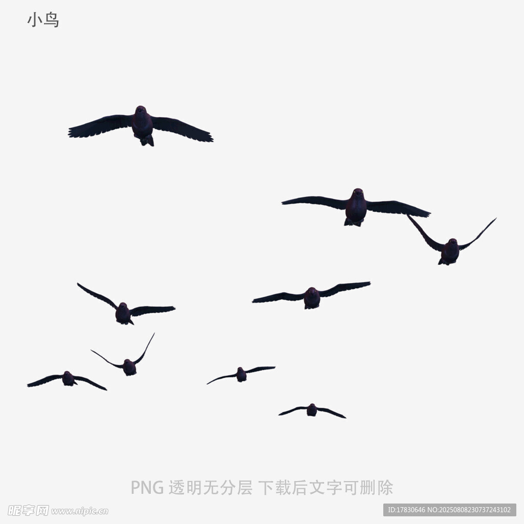 小鳥