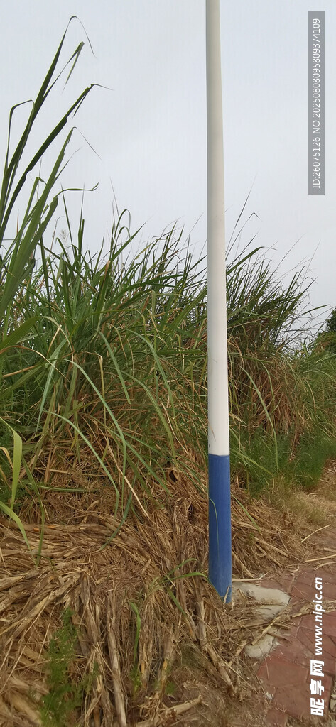 田野中的藍白相間標志桿