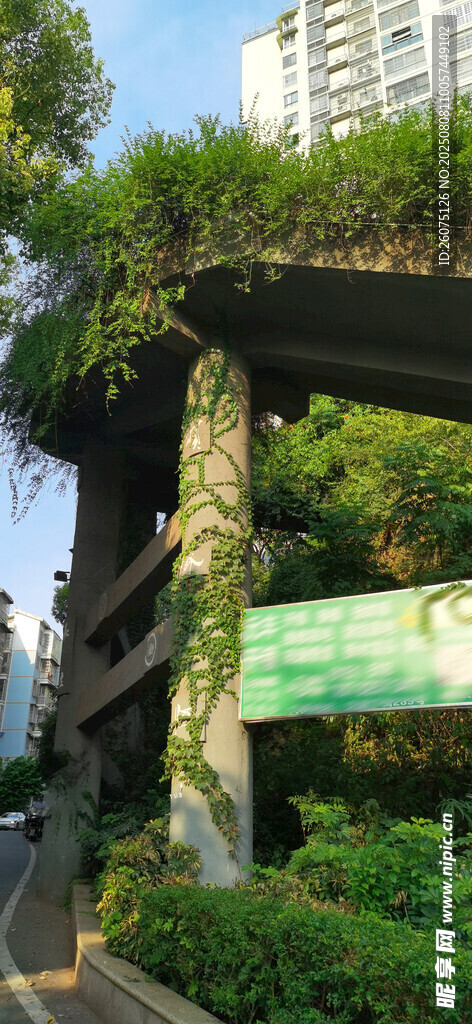 城市中的綠植藤蔓纏繞建筑景觀