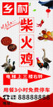 鄉(xiāng)村柴雞美味