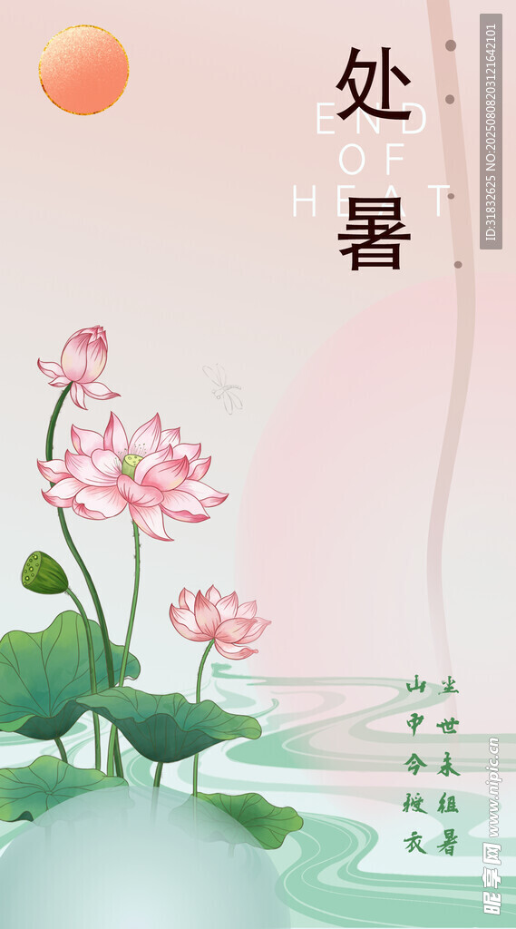 處暑時(shí)節(jié) 荷花綻放圖景