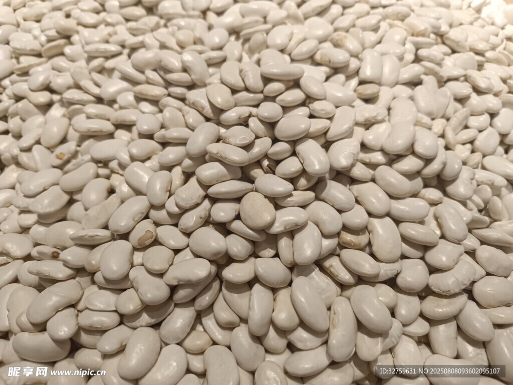 白蕓豆特寫