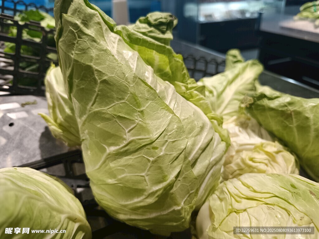 新鮮卷心菜陳列