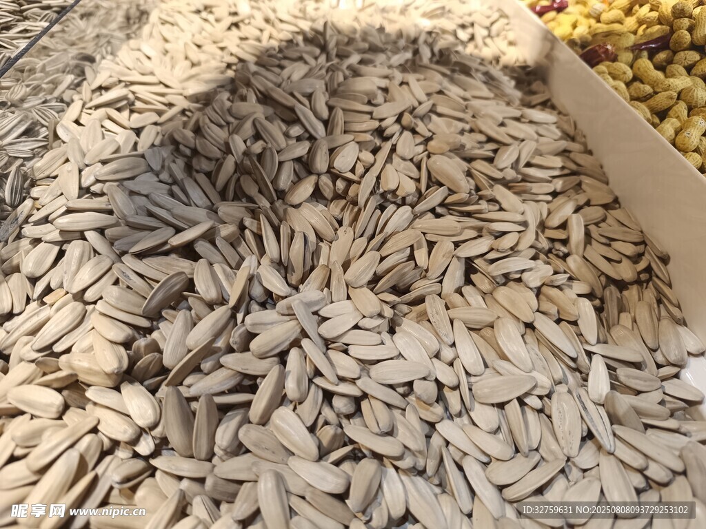 飽滿葵花籽堆
