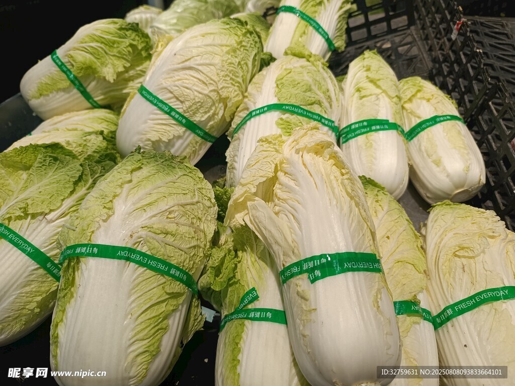 新鮮成捆大白菜待售