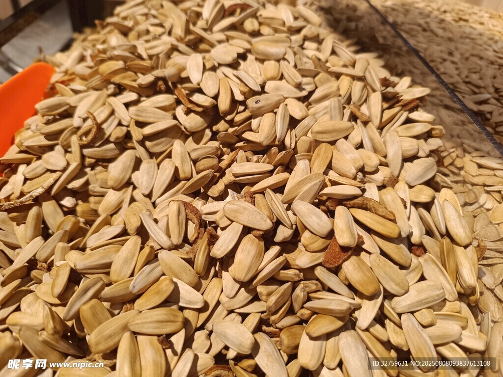 飽滿葵花籽待售