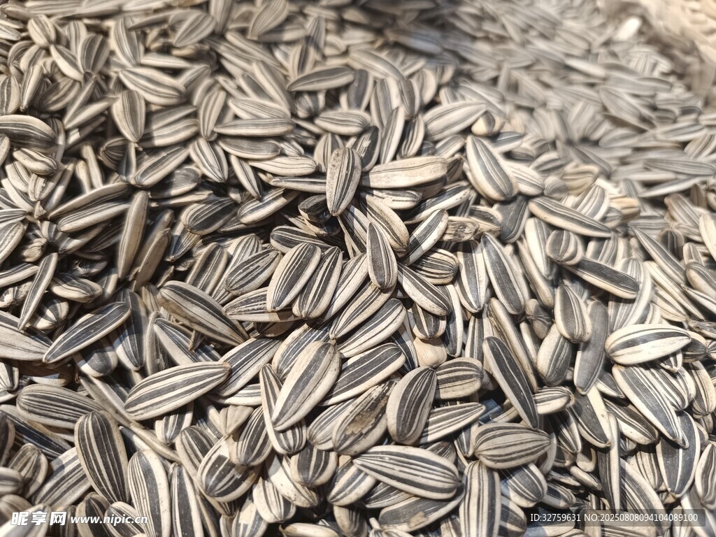 飽滿葵花籽