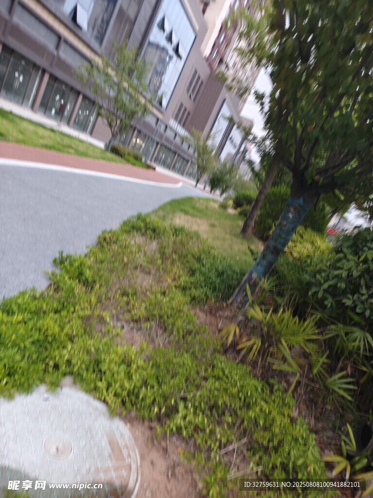 城市路邊綠意盎然的植被