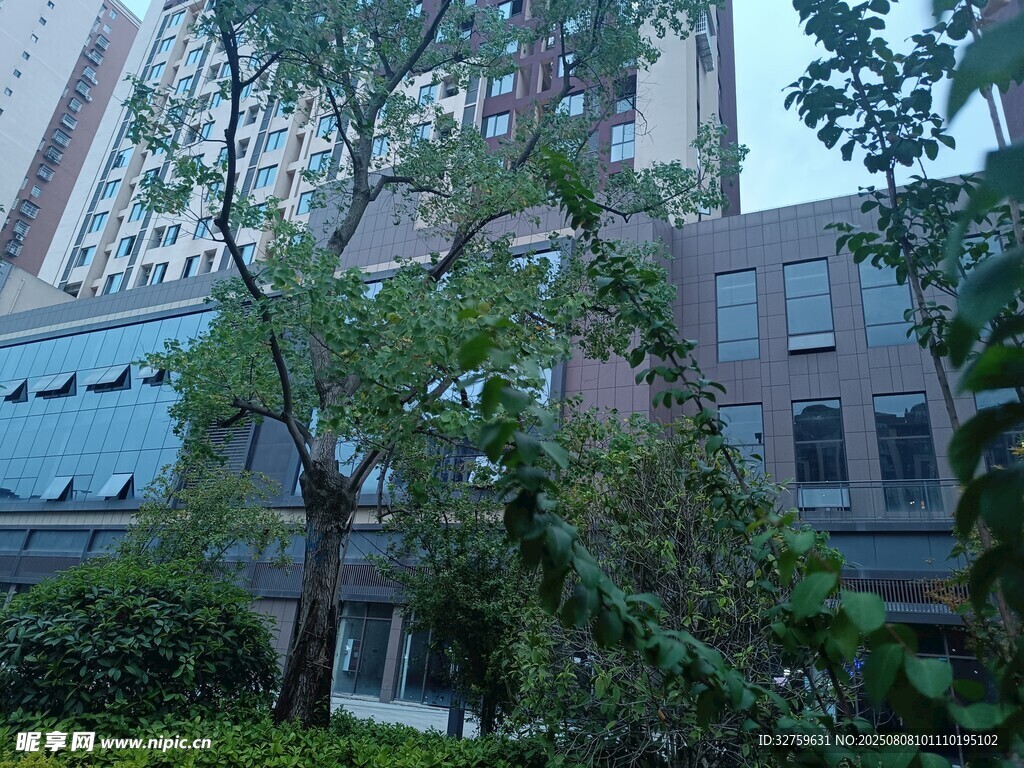 城市中繁茂綠植環(huán)繞的建筑