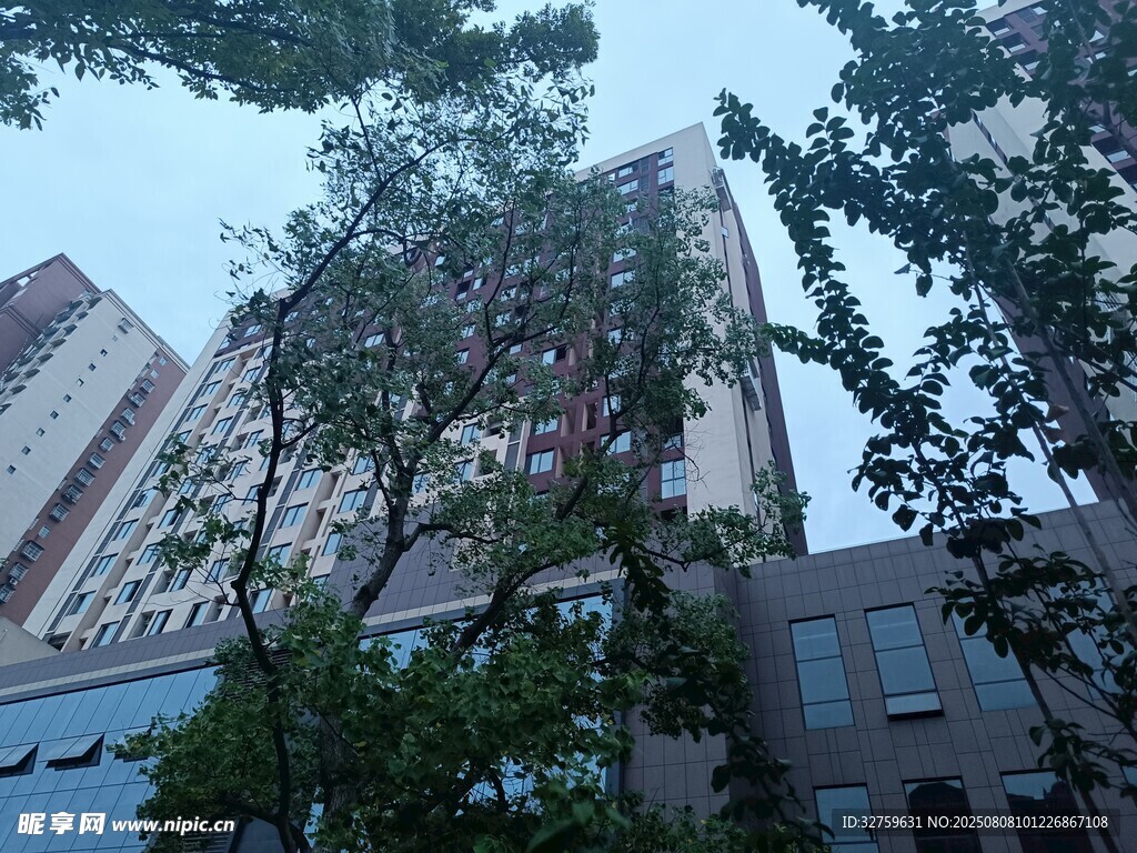 城市中樹木掩映的高樓