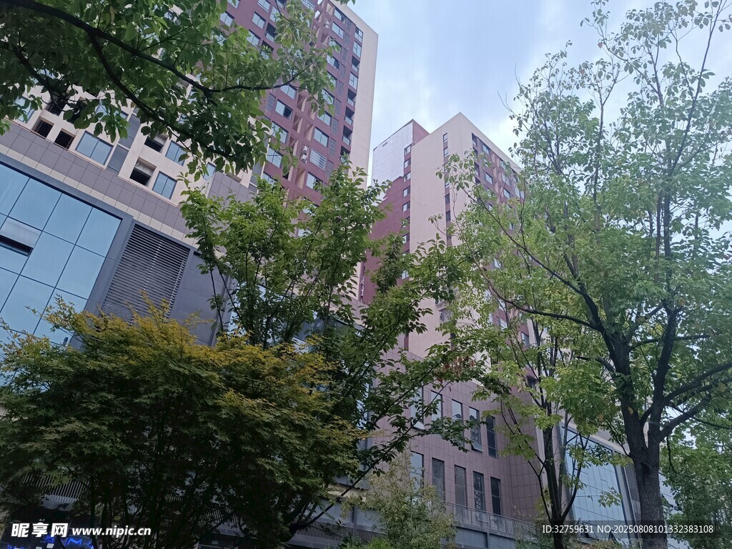 城市中林立的建筑與綠樹(shù)