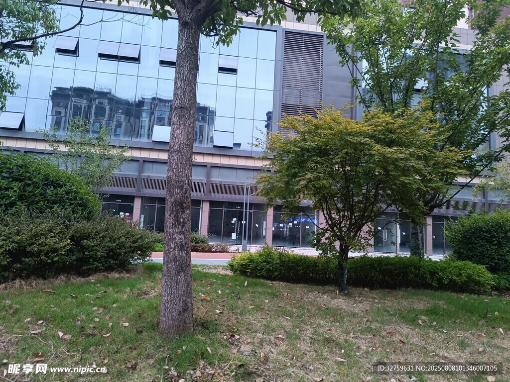 現(xiàn)代建筑旁的綠植景觀