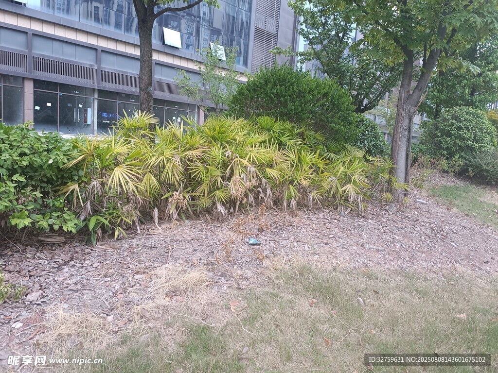 戶外綠植景觀一角