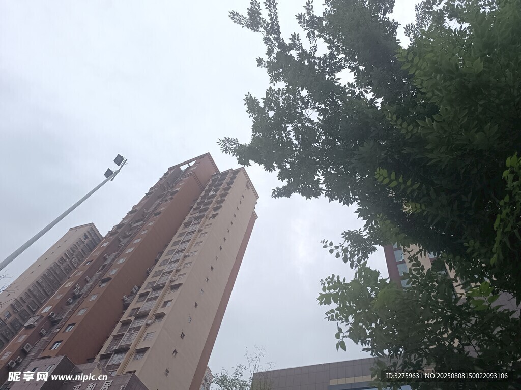 高樓旁綠樹(shù)蔥郁