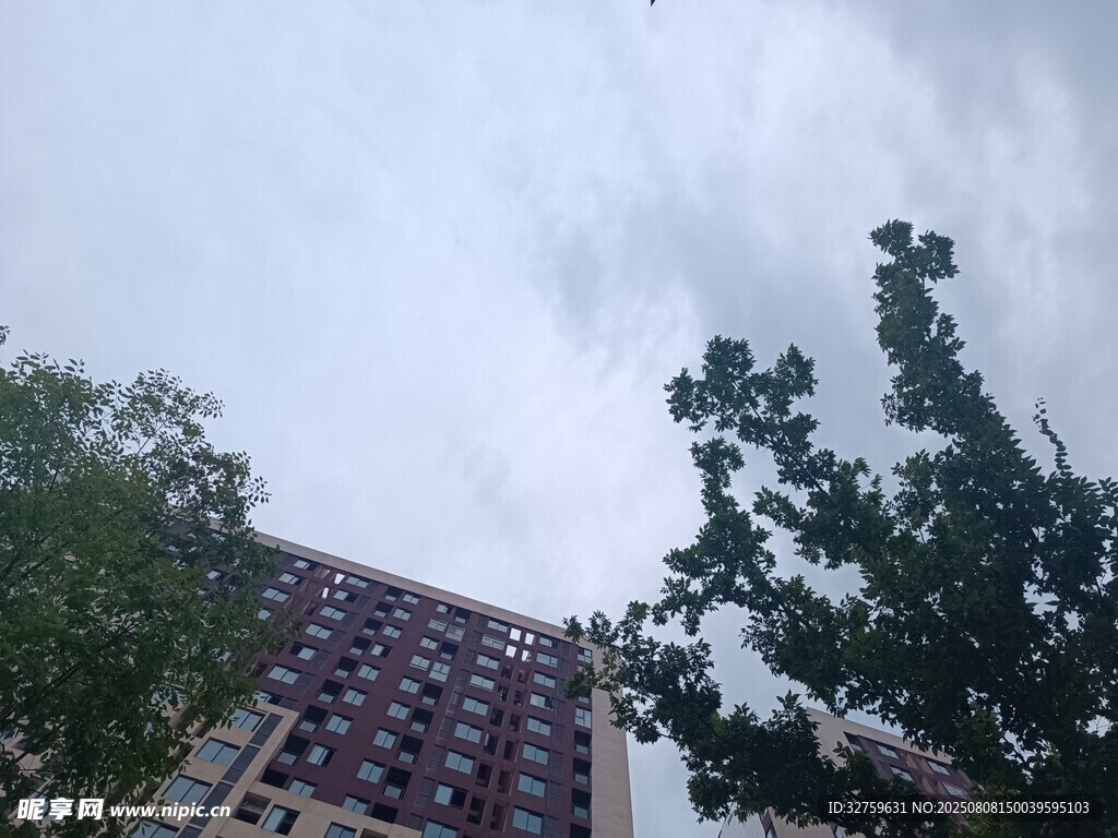 樓前綠樹與陰沉天空