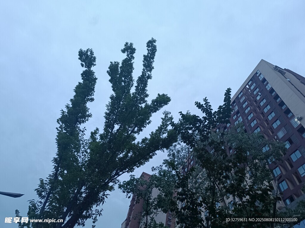 樓前綠樹與天空景致