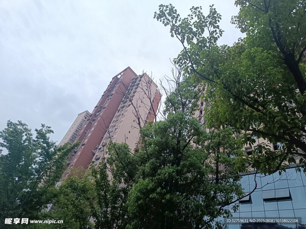 高樓掩映于綠樹之間