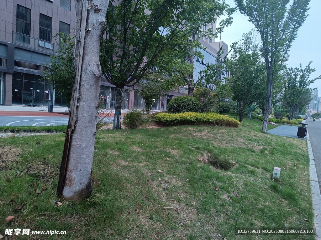 城市街邊綠意盎然景觀