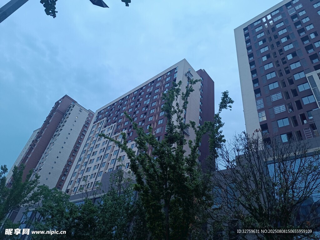 高樓林立間的綠植景觀