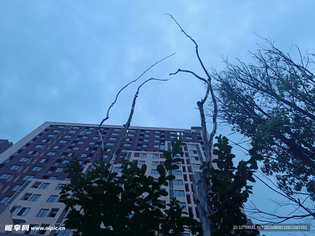 狂風(fēng)中樹(shù)枝彎折于高樓前