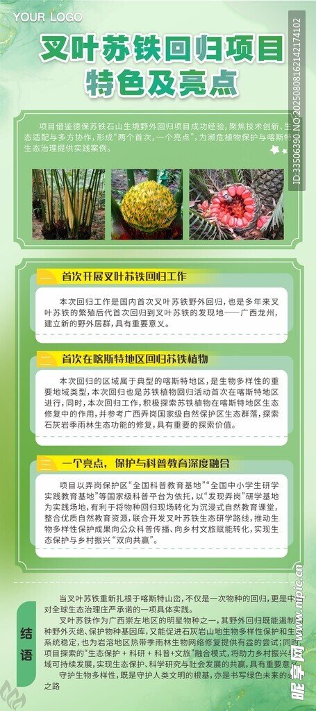 春天綠植植物海報(bào)