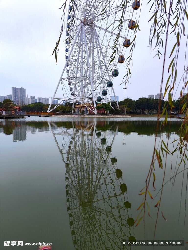 湖畔垂柳與摩天輪倒影