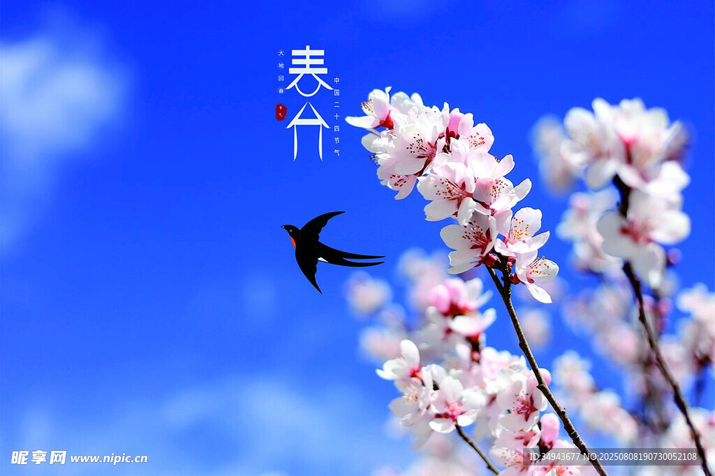 燕子伴繁花于藍天之下