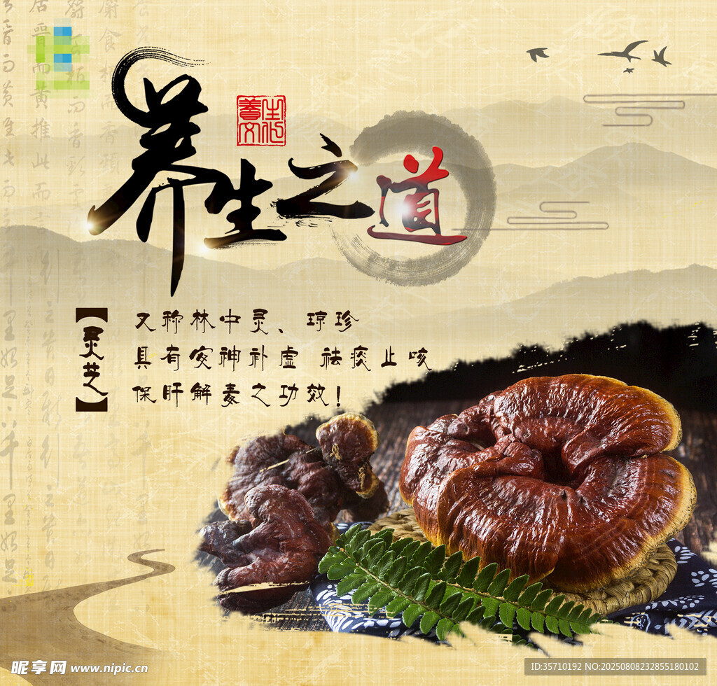 養(yǎng)生之道 珍貴菌類展示