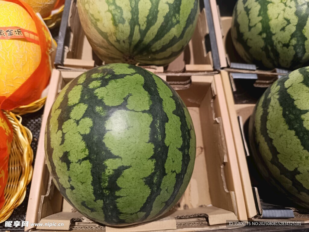 新鮮西瓜整齊擺放