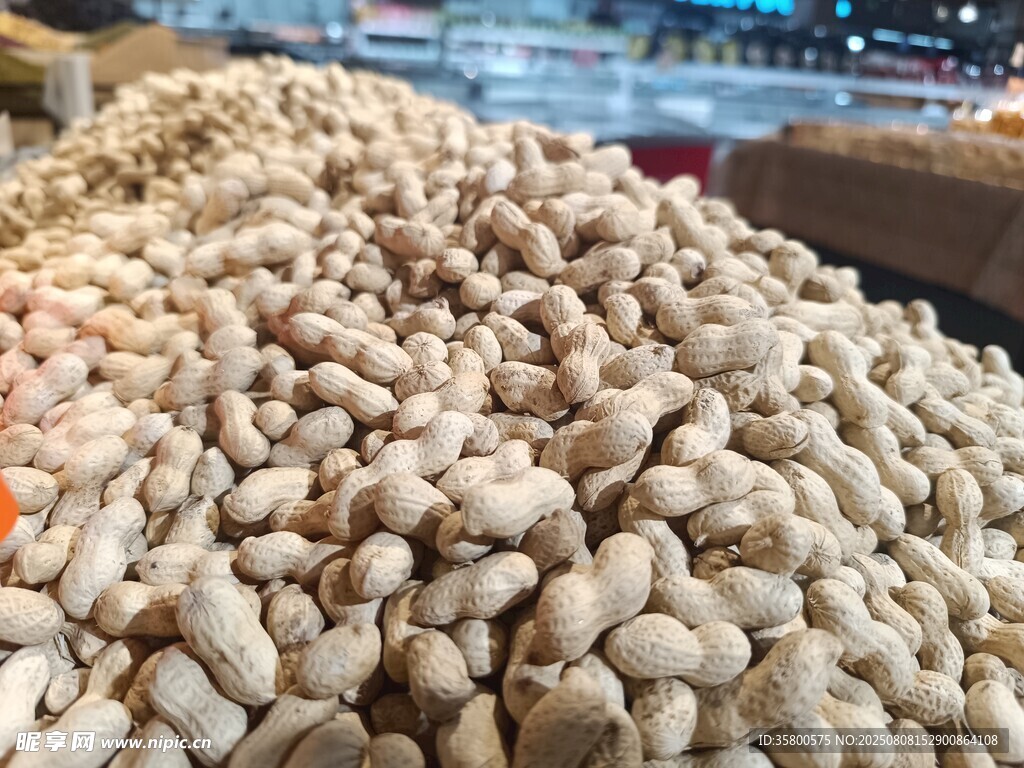 新鮮飽滿的花生