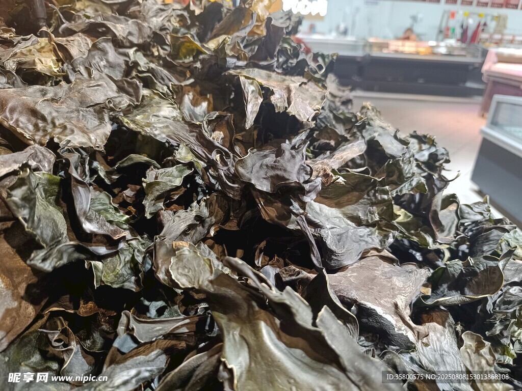 干制海帶特寫(xiě)