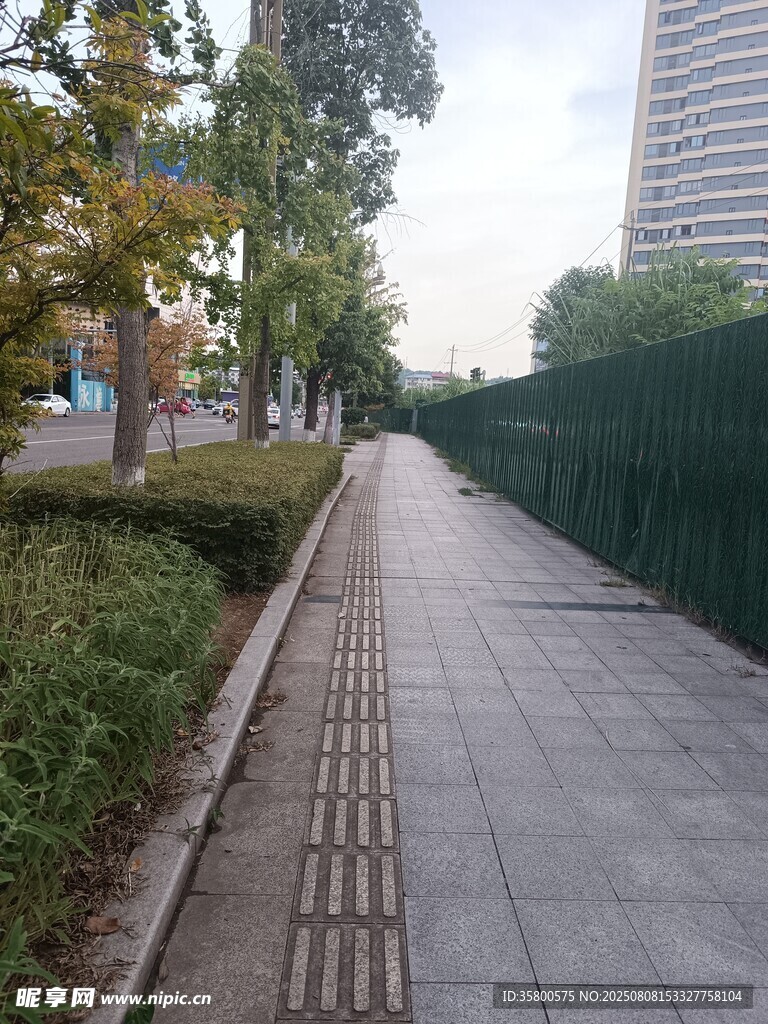 城市中的靜謐人行道