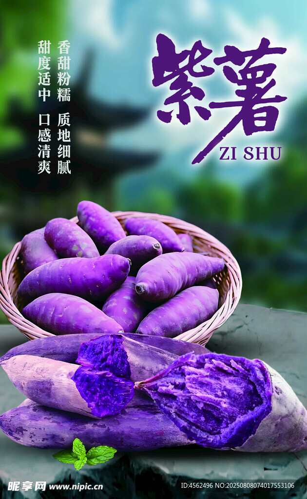 新鮮紫薯