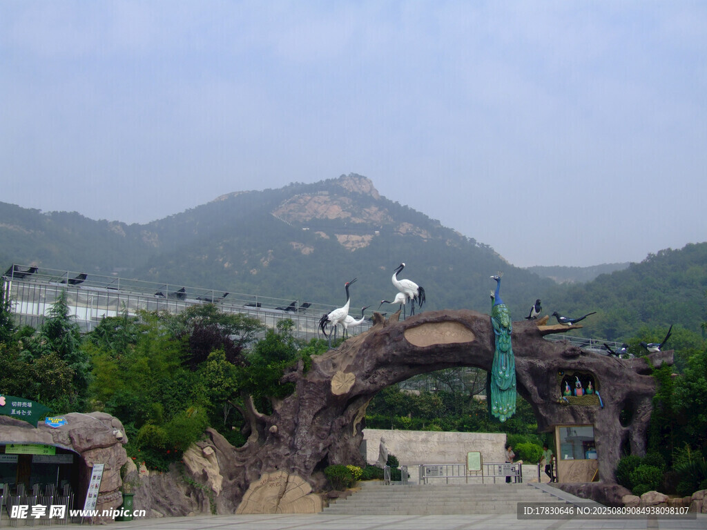 景區(qū)入口處的壯麗景觀
