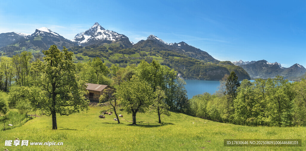 湖畔青山間的田園美景