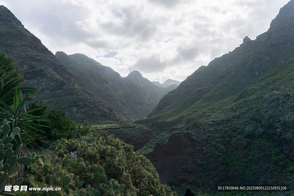 山間綠意濃景