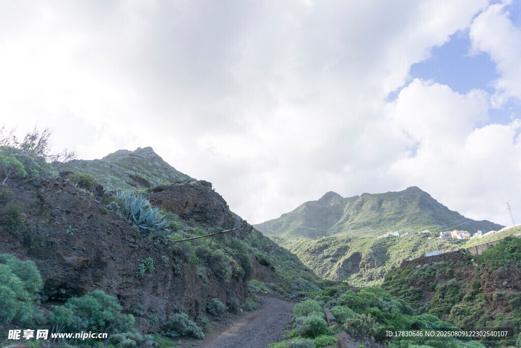 山間蜿蜒小路與蔥郁山巒