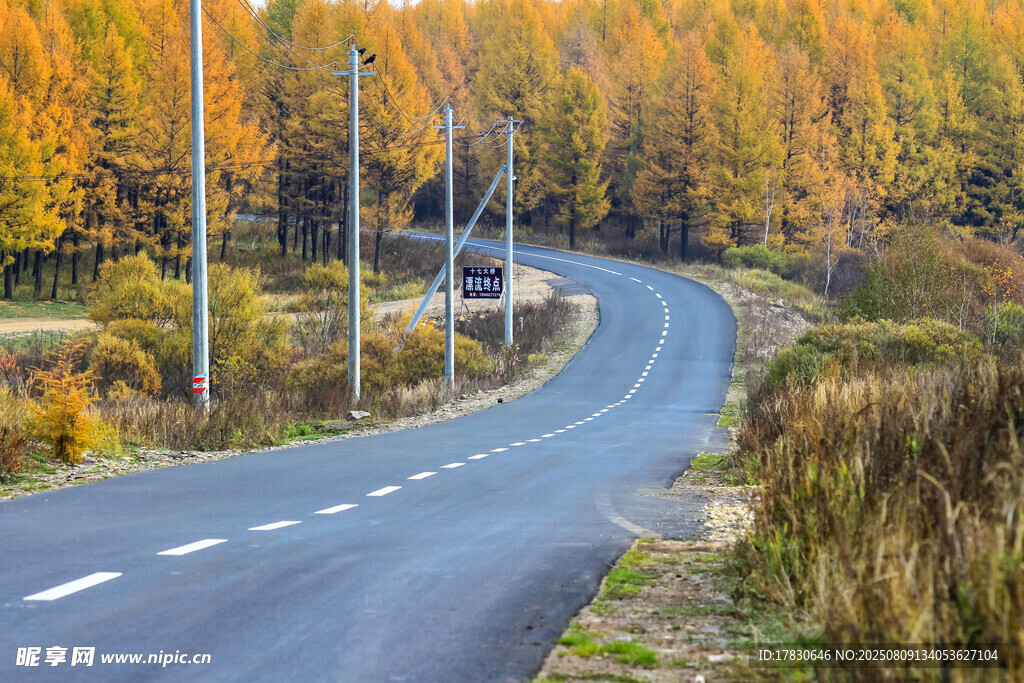 秋日蜿蜒公路美景