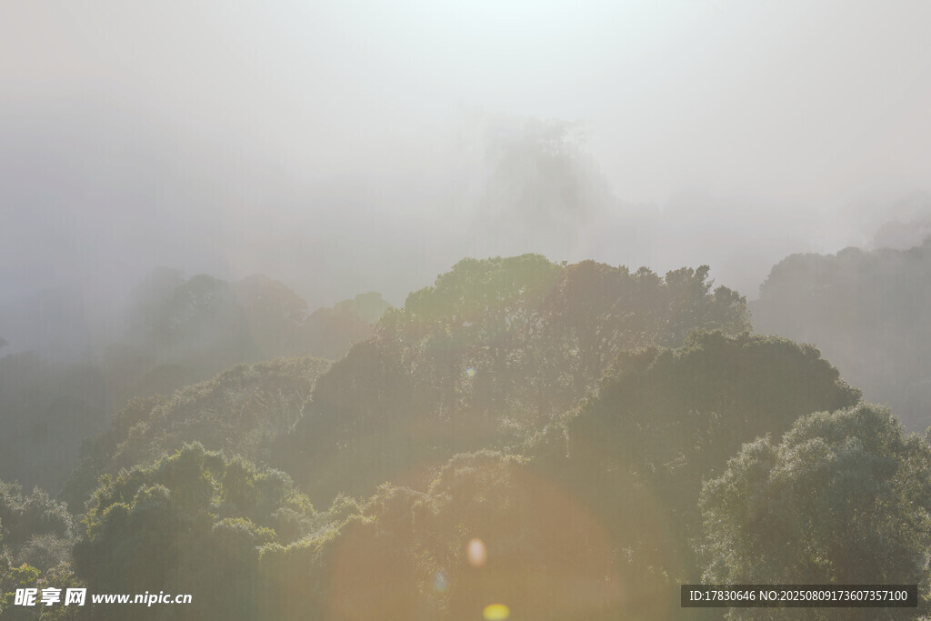山間晨霧中的陽光美景