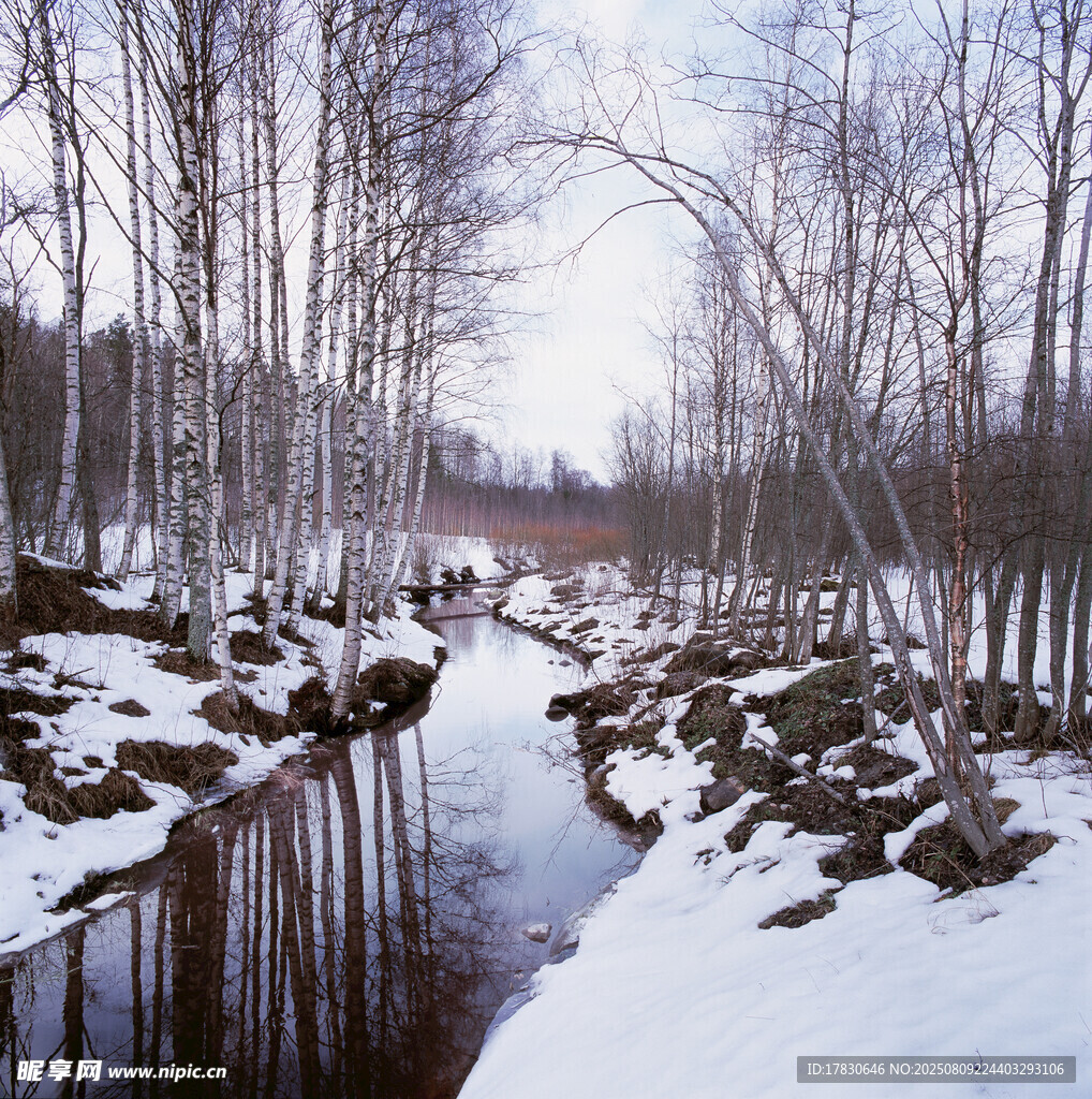 冬日雪覆林間小河美景